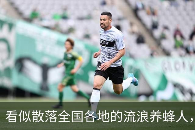 看似散落全国各地的流浪养蜂人，五千人都来自同个浙江小县城