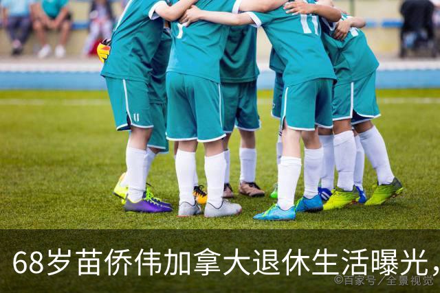 68岁苗侨伟加拿大退休生活曝光，遛狗赏花好惬意，两鬓花白仍健硕